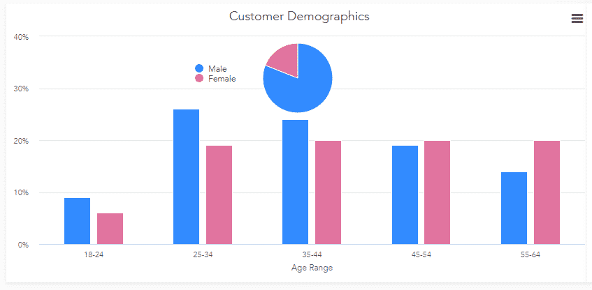 ShopInspect-Customer-Demographics